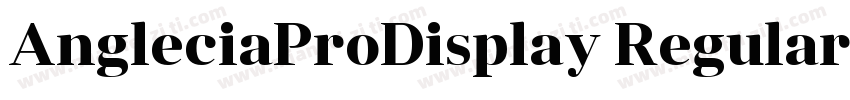 AngleciaProDisplay Regular字体转换